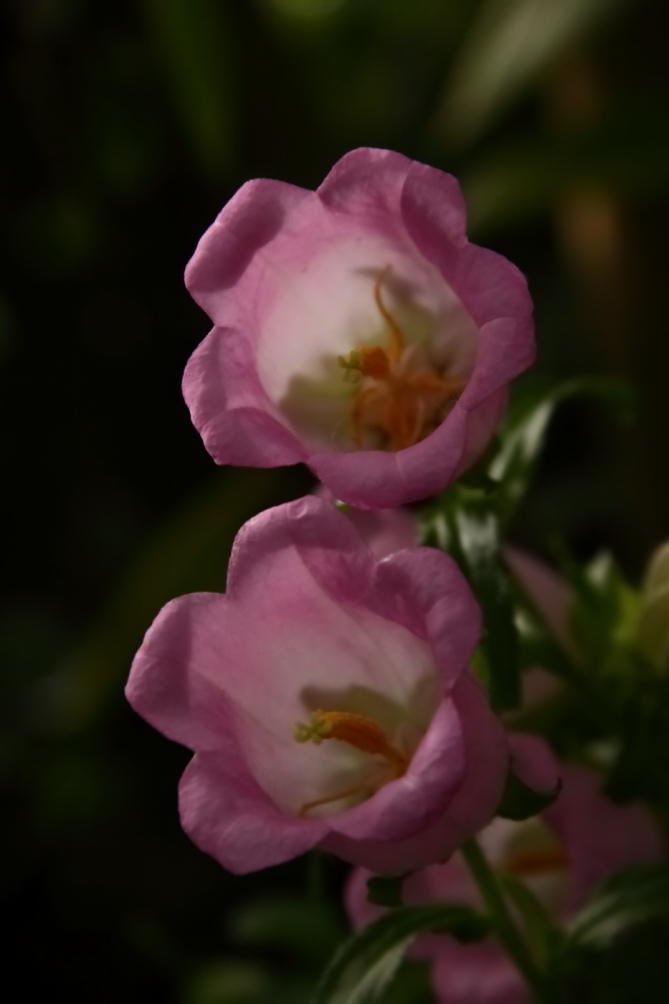 2012 04 13 9999 68